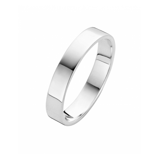 25-R1252254 - Fjory ring Basic zilver - 100444