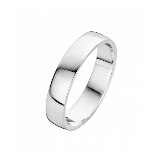 25-R1261904 - Fjory ring Basic zilver - 100453