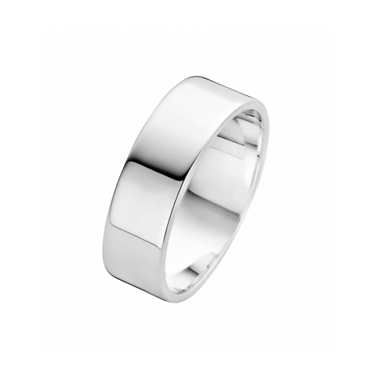 25-R1731756 - Fjory ring Basic zilver - 100546