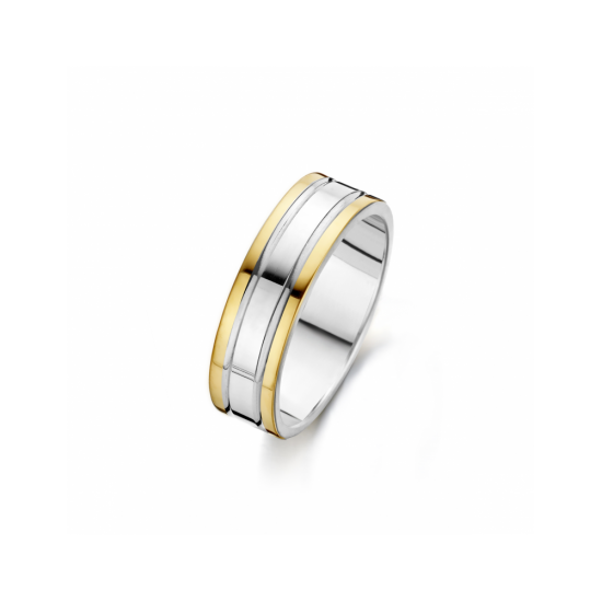 41-R212056 - goud/zilveren ring